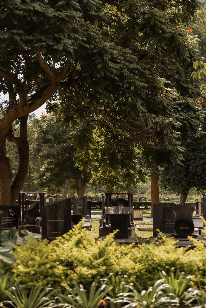 leopardshillmemorialpark2023 1 scaled