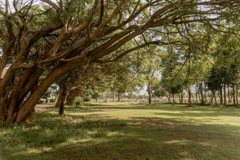 leopardshillmemorialpark2023 23 scaled